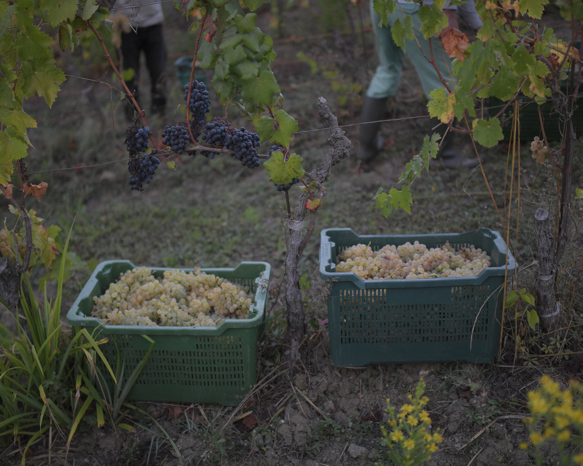 6.png__PID:b96318fa-bbbd-409d-910a-ebce20a473cc