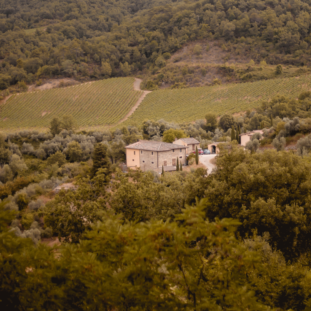 FRANTOIO.png__PID:2a06d9aa-2781-4e81-9391-c4abd4534edf