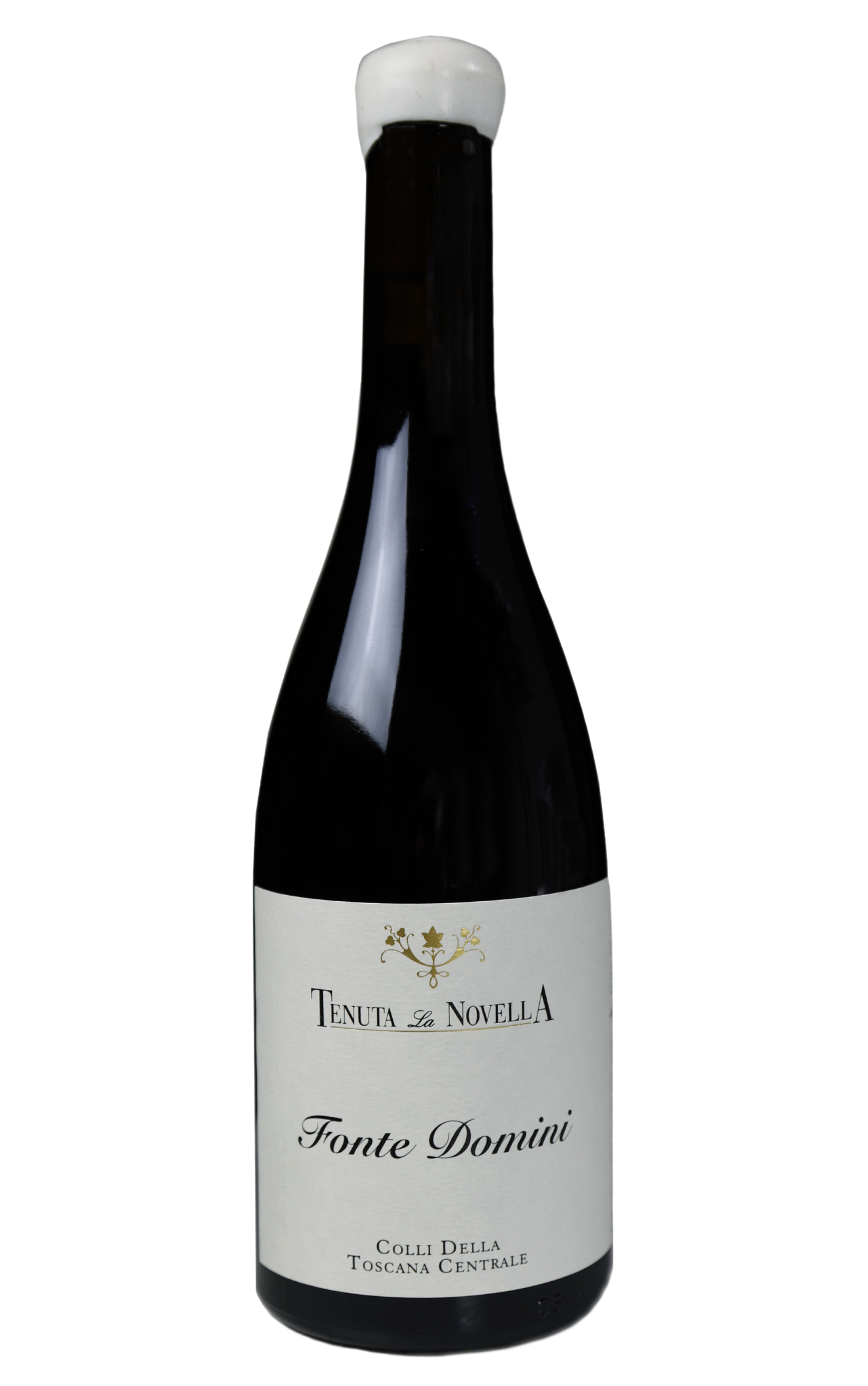 FONTE DOMINI SYRAH IGT COLLI DELLA TOSCANA CENTRALE 2019 - Tenuta la Novella