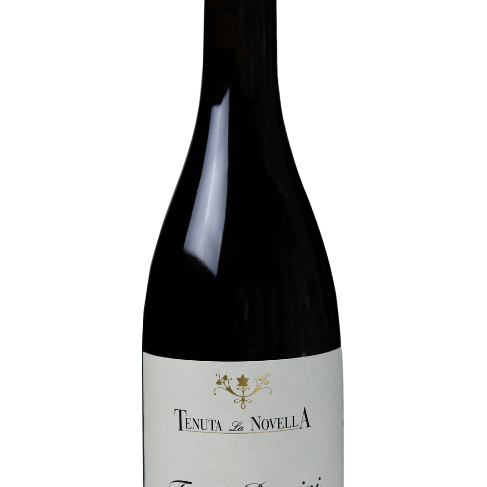 FONTE DOMINI SYRAH IGT COLLI DELLA TOSCANA CENTRALE 2019 - Tenuta la Novella