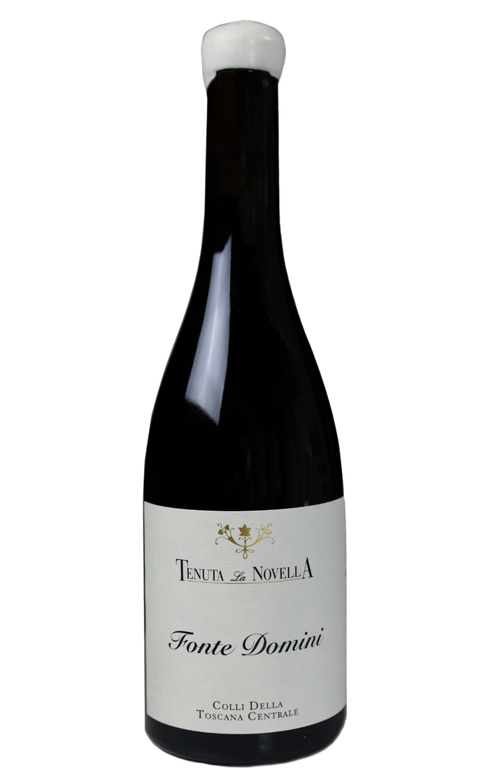 FONTE DOMINI SYRAH IGT COLLI DELLA TOSCANA CENTRALE 2019 - Tenuta la Novella
